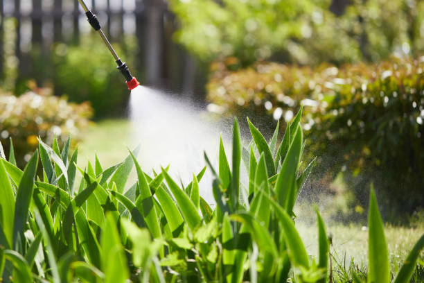 24/7 Emergency Ant Control experts in Comstock Park, MI